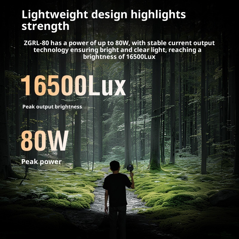 ZGRL80 80 Вт COB светодиодный  – обзор и цена Photography Lighting Outdoor